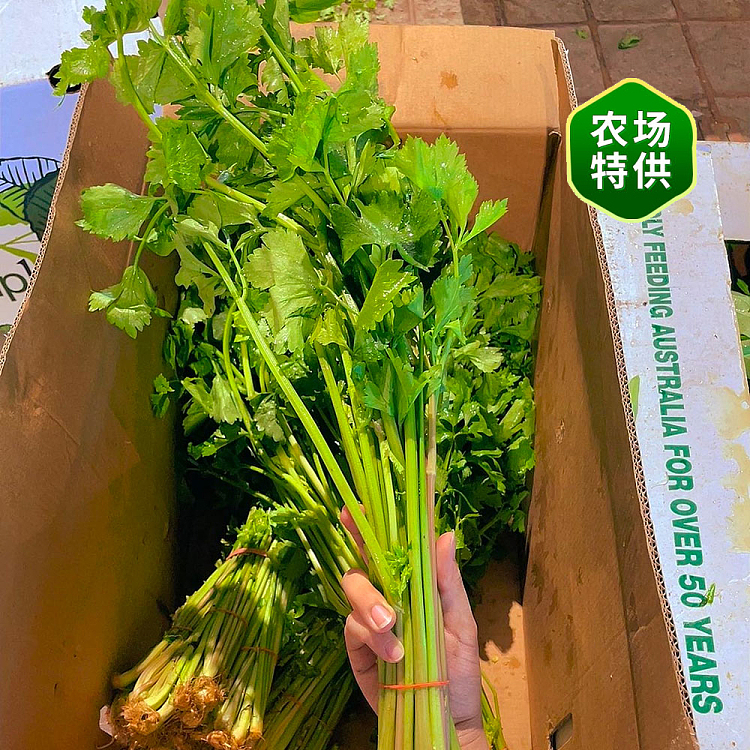 fresh-1-bundle-of-chinese-celery-2