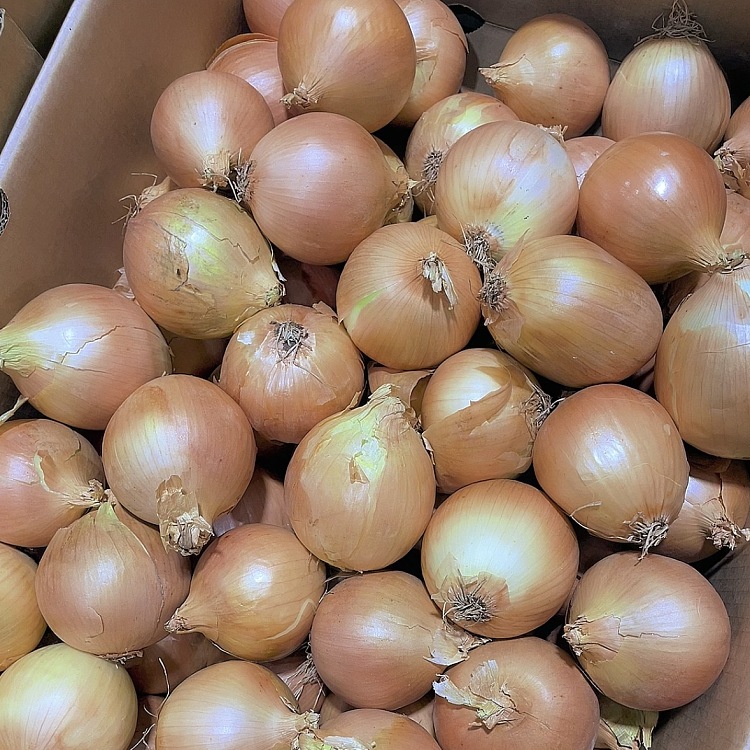 freshumall-onion-1kg-2