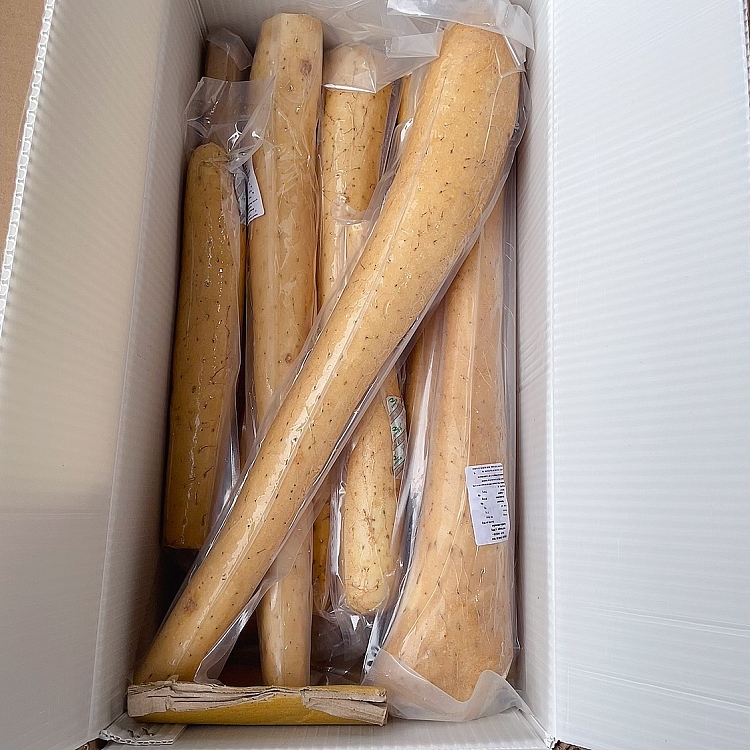 yam-1