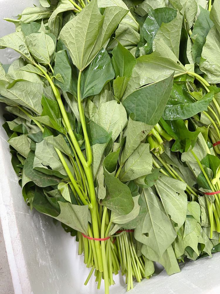 fresh-sweet-potato-leaves-1-portion-3