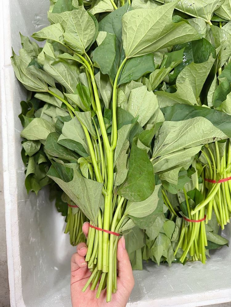fresh-sweet-potato-leaves-1-portion-2