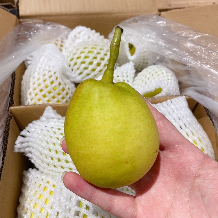 freshumall-self-supporting-china-imported-xinjiang-korla-scented-pear-about-1kg-4