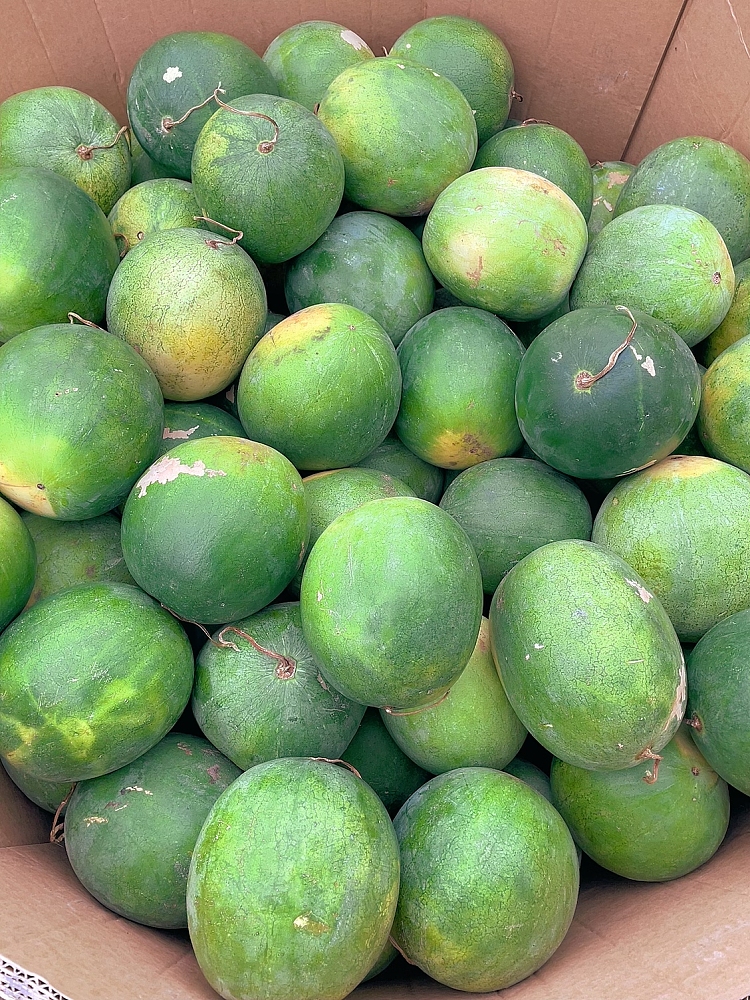 freshumall-self-supporting-seedless-watermelon-medium-1pc-about-3-35kg-2
