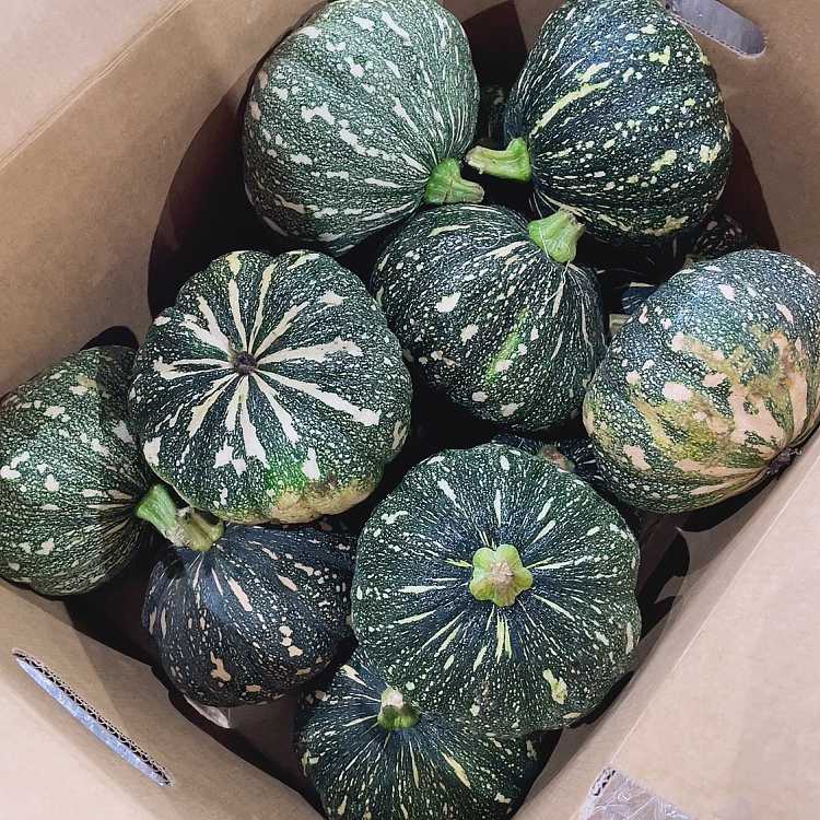 fresh-pumpkin-1-1