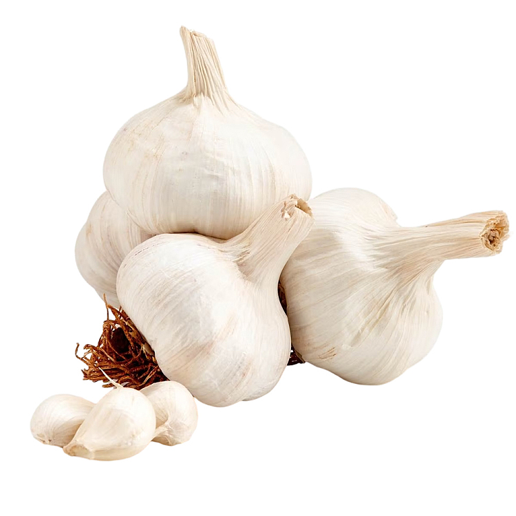 freshdried-garlic-about-500g-1