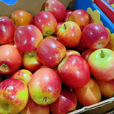【原箱】澳洲Missile小苹果 Missile Mini Apple 约3kg