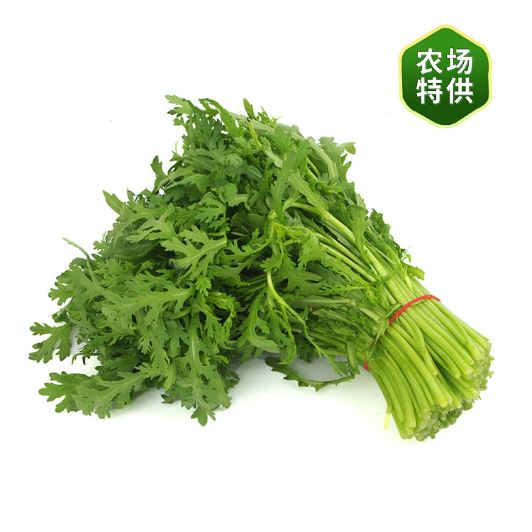 fresh-chrysanthemum-coronarium-1-bundle-4