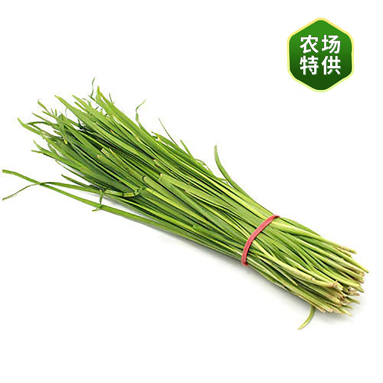 fresh-2-bundles-of-leeks-2