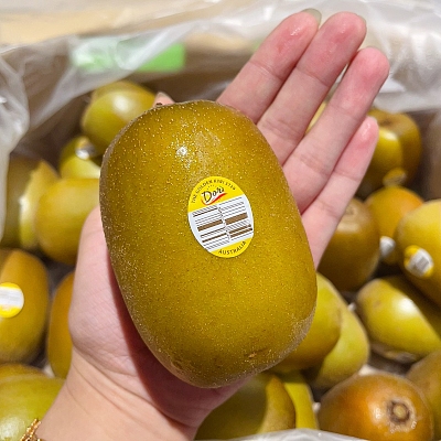 【vc之王】澳洲Gold Kiwi 大号黄金奇异果 一份500-550g 约3-4个