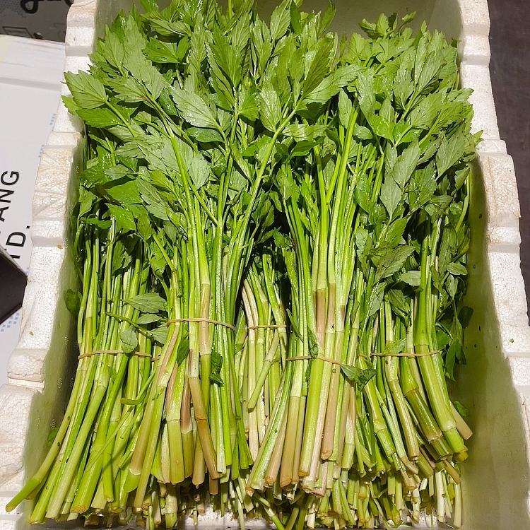 freshumalls-own-watercress-1-bundle-3
