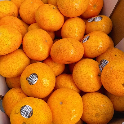 本地薄皮无籽小橘子 约1kg