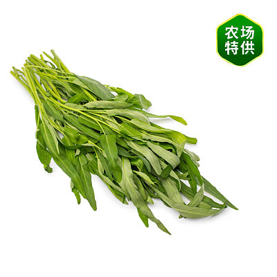 【农场直供】空心菜 Kang Kong 1捆