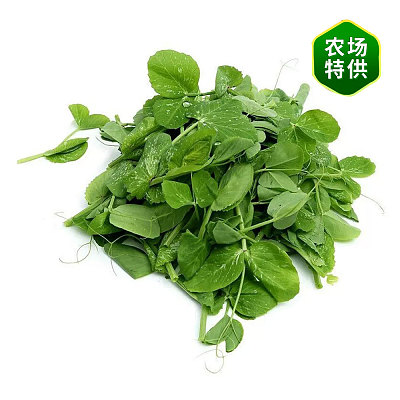 豌豆尖 Pea Shoots 约300g