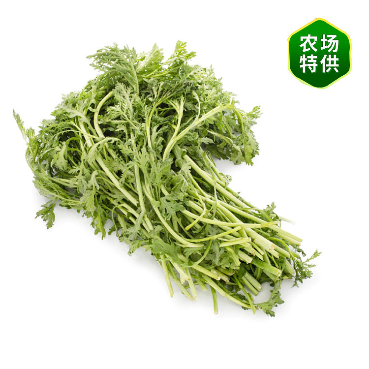 fresh-chrysanthemum-coronarium-1-bundle-3