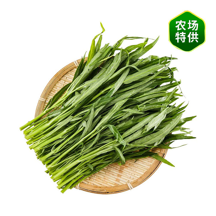 fresh-cabbage-1-bundle-3
