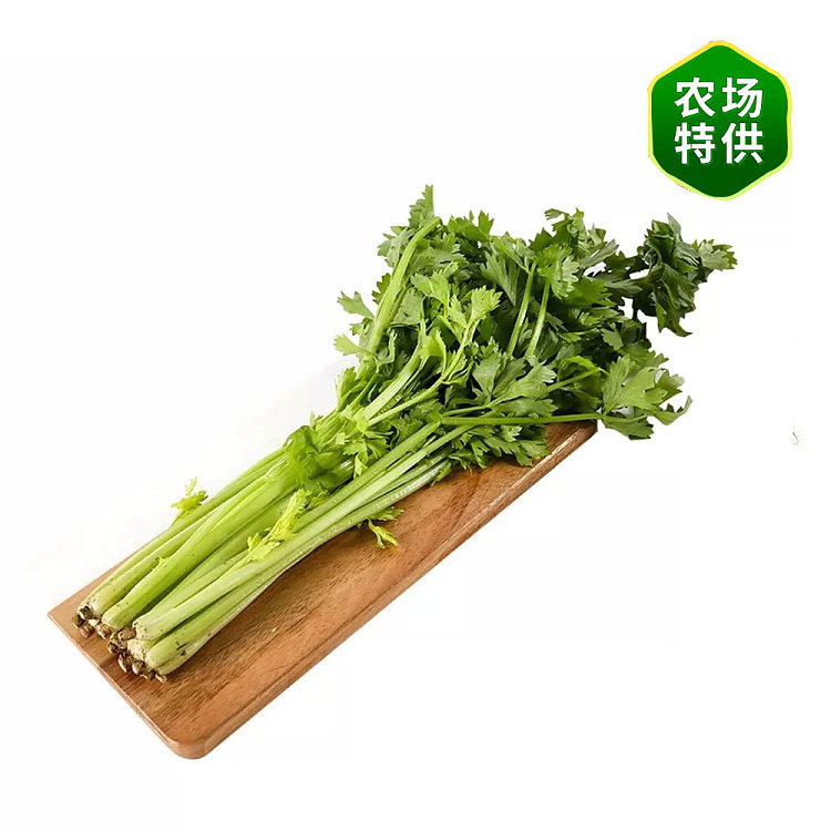 fresh-1-bundle-of-chinese-celery-1