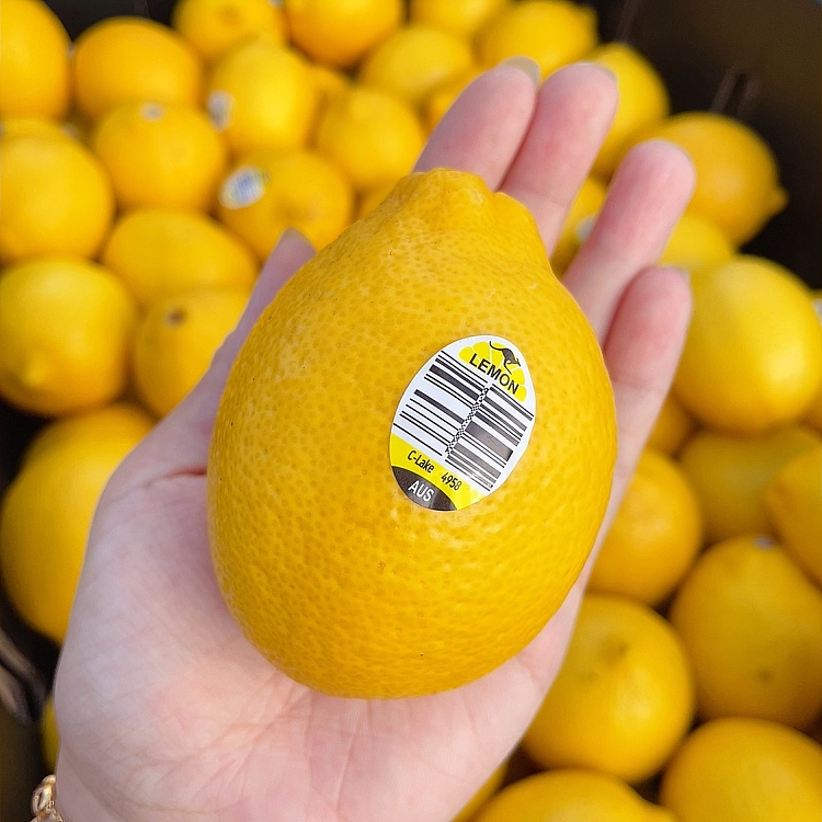 freshumall-own-lemon-about-550-600g-2