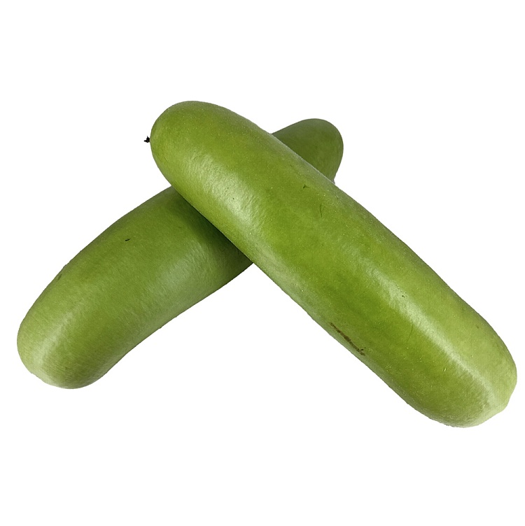 freshumalls-own-long-melon-1pc-1