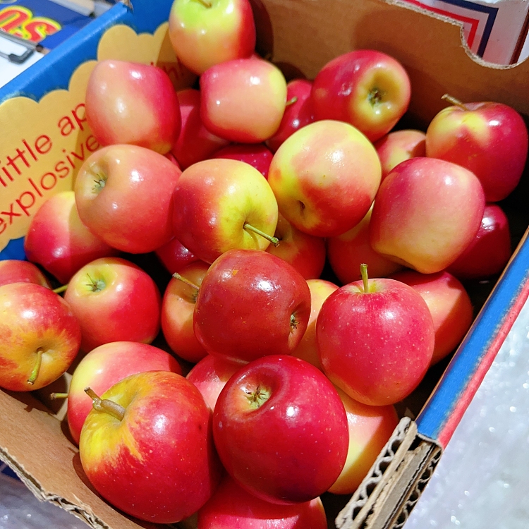 freshumalls-own-missile-small-apple-about-1kg-1