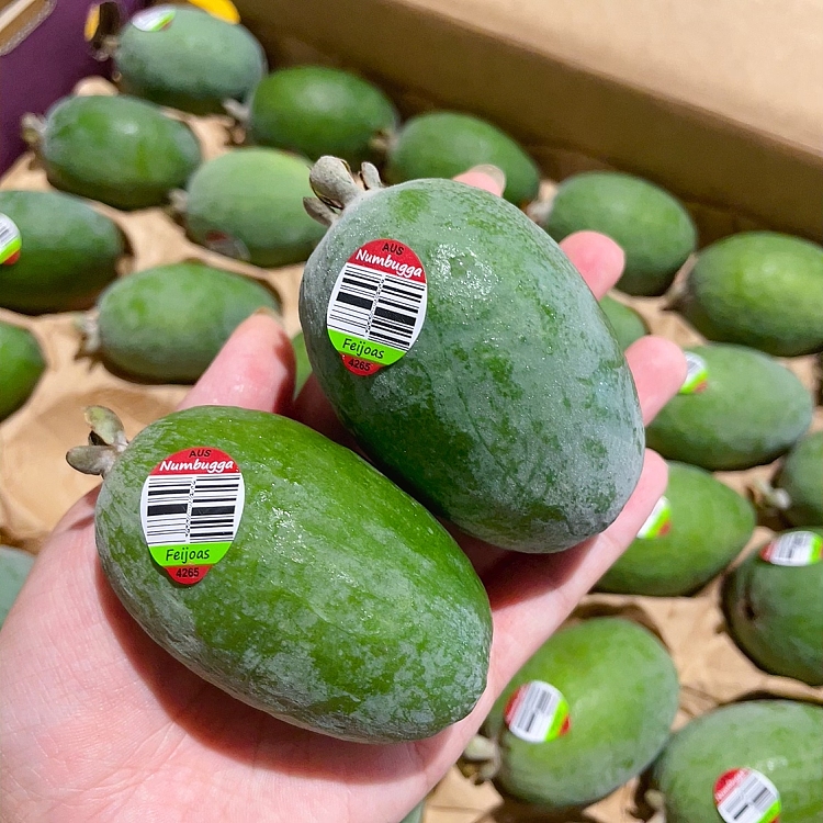 freshumalls-own-fiji-fruit-2pcs-1