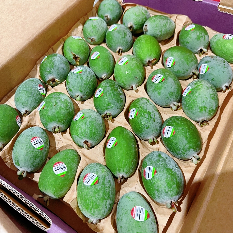 freshumalls-own-fiji-fruit-2pcs-2