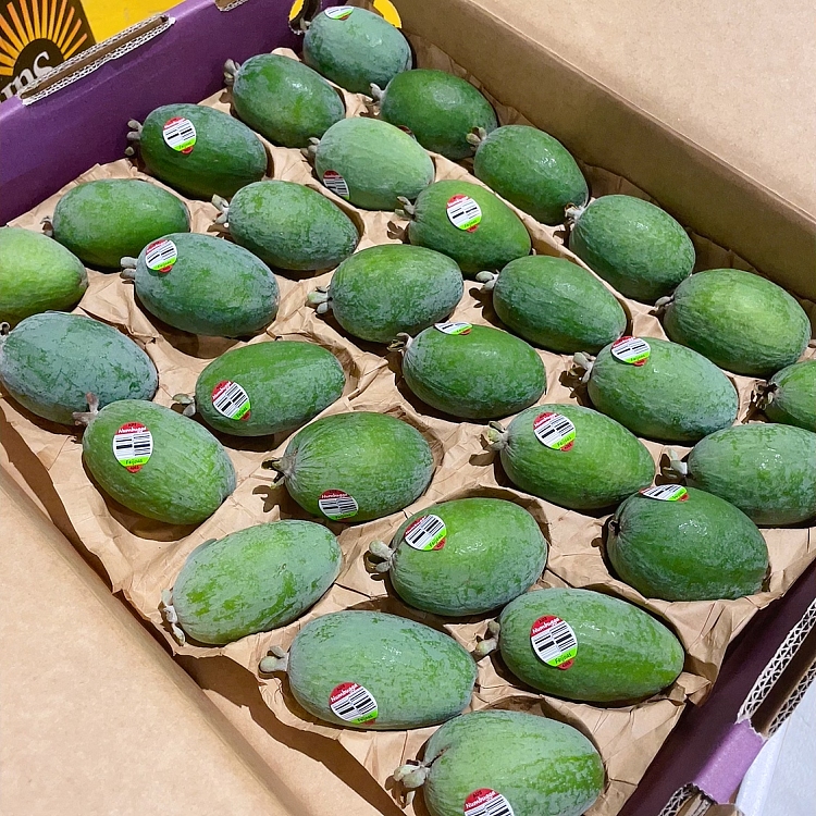 freshumalls-own-fiji-fruit-2pcs-3
