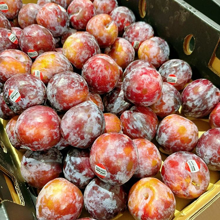 freshumall-self-supporting-tipsy-yellow-heart-plums-about-1kg-1
