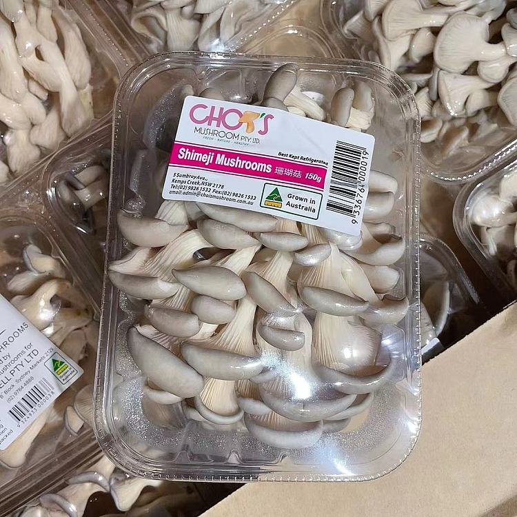 freshumalls-own-coral-mushroom-1-box-3