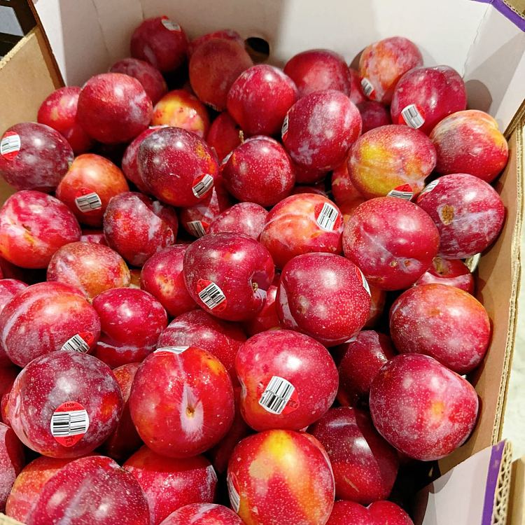 umallredplum1kg-1