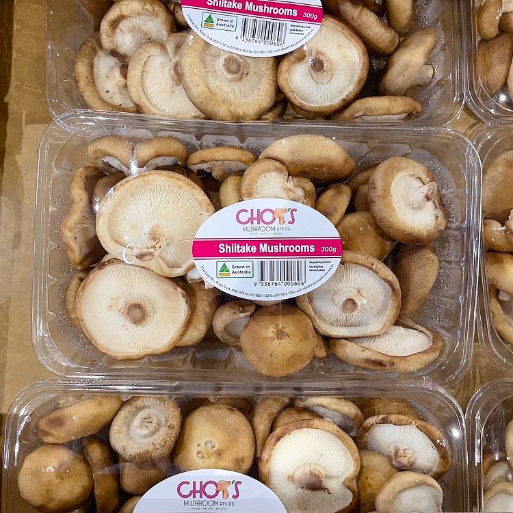freshumall-self-supporting-winter-mushroom-1-box-2