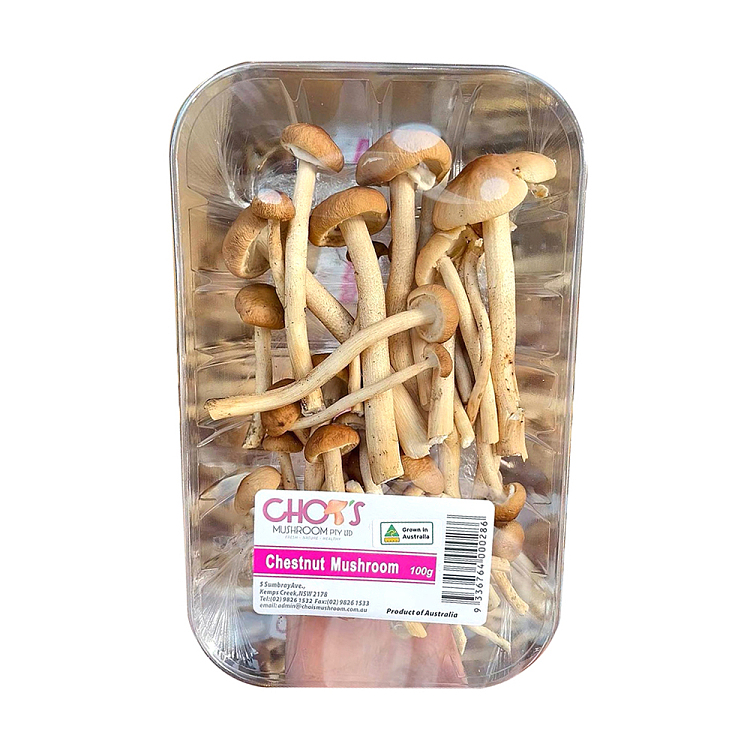 freshumall-self-consumption-tea-tree-mushroom-1-box-1