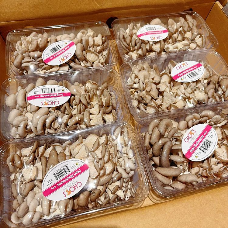 freshpearl-mushroom-1-box-about-400g-4