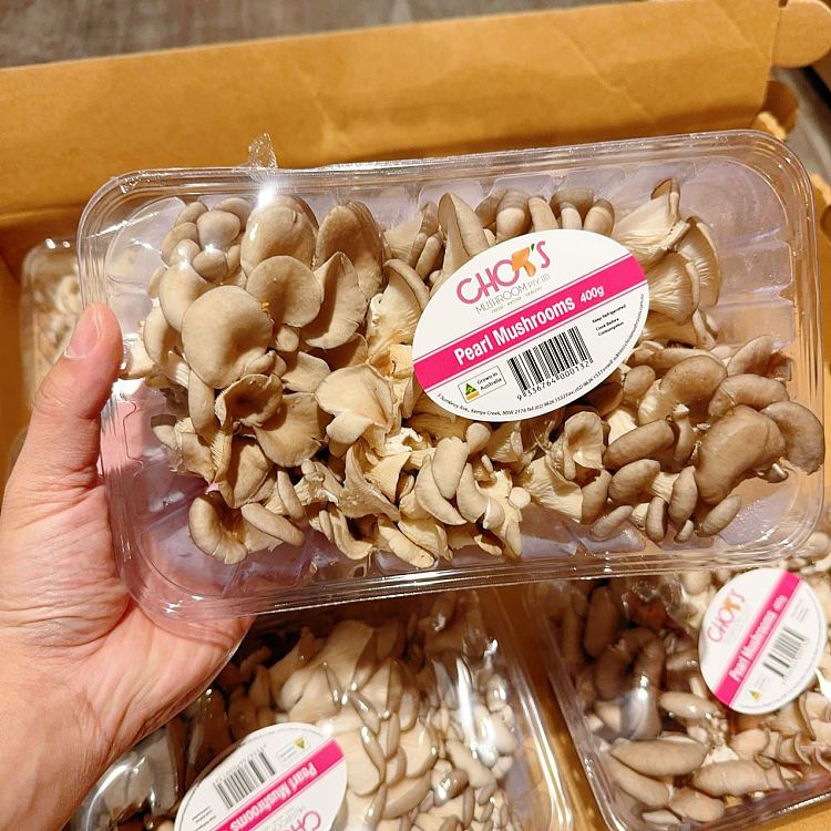freshpearl-mushroom-1-box-about-400g-3