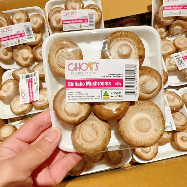 freshmushroom-1-box-about-100g-3