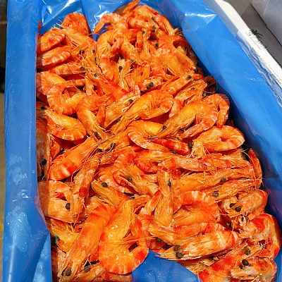 【冻】 熟虎虾 31/40 约1kg