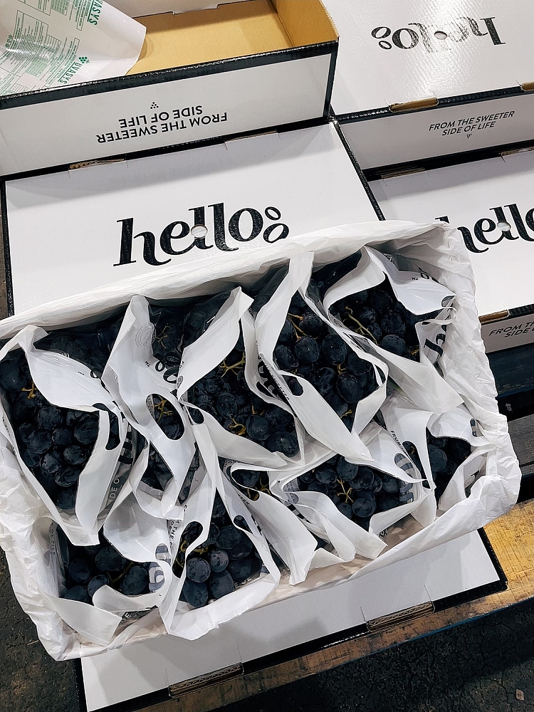 freshhelloadora-sweet-black-grape-with-exploding-juice-about-900-1000g-3