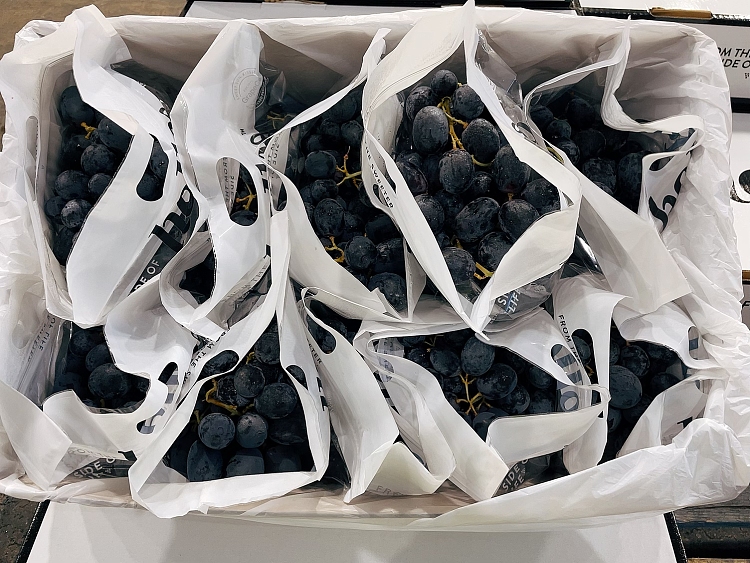 freshhelloadora-sweet-black-grape-with-exploding-juice-about-900-1000g-4