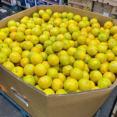 新鲜甜橙 3kg