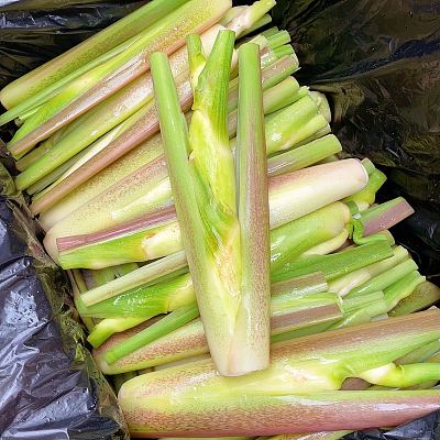 昆士兰新鲜茭白 约500g