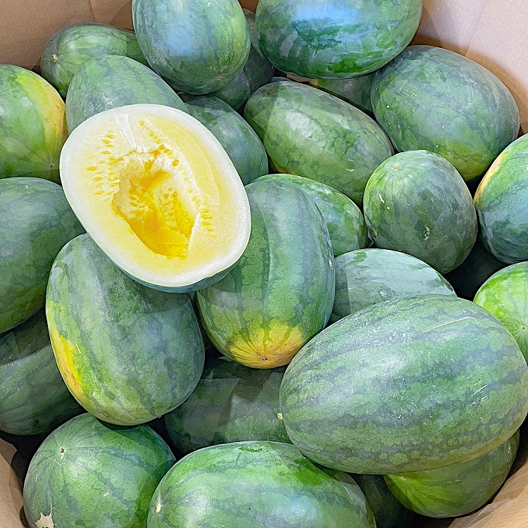 fresh-super-large-yellow-watermelon-1-pc-8kg-1