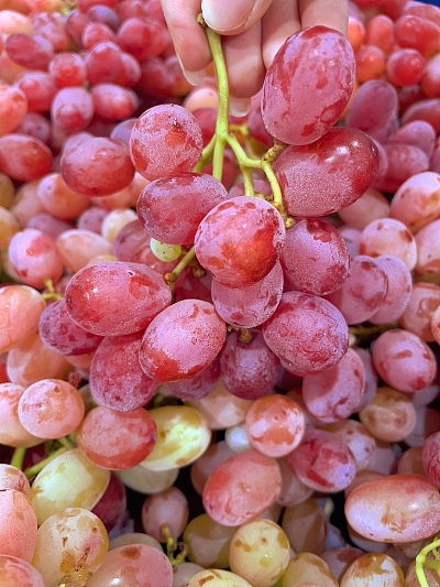 脆甜小红提 约1kg