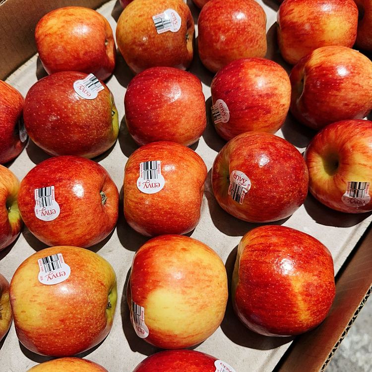 fresh-lovey-dovey-apples-1kg-2