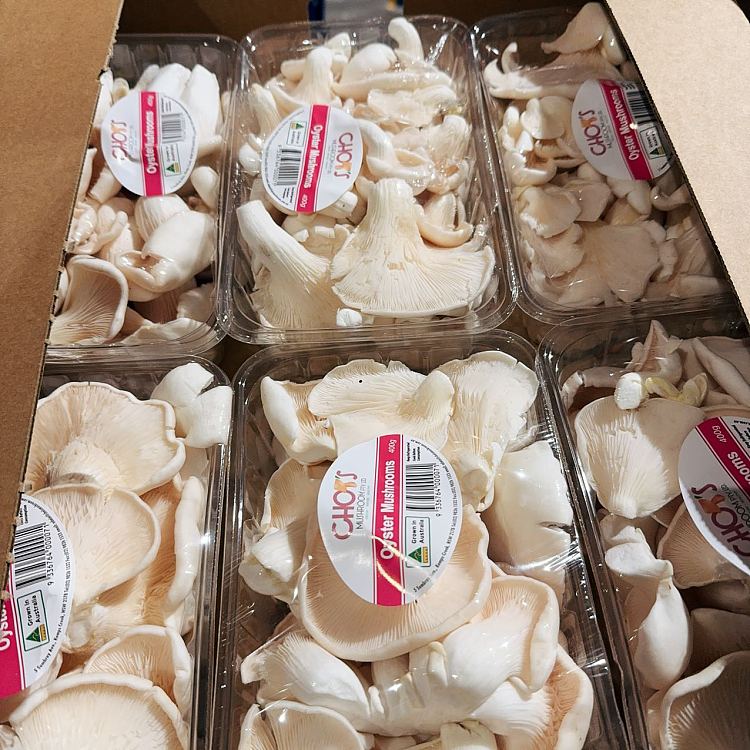 freshumalls-own-abalone-mushroom-1-box-3
