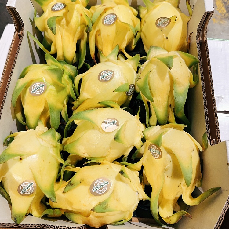 fresh1-yellow-skinned-white-heart-dragon-fruit-1