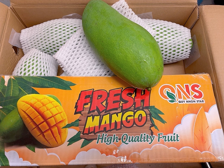 fresh-1-crisp-and-sweet-imported-green-mango-6