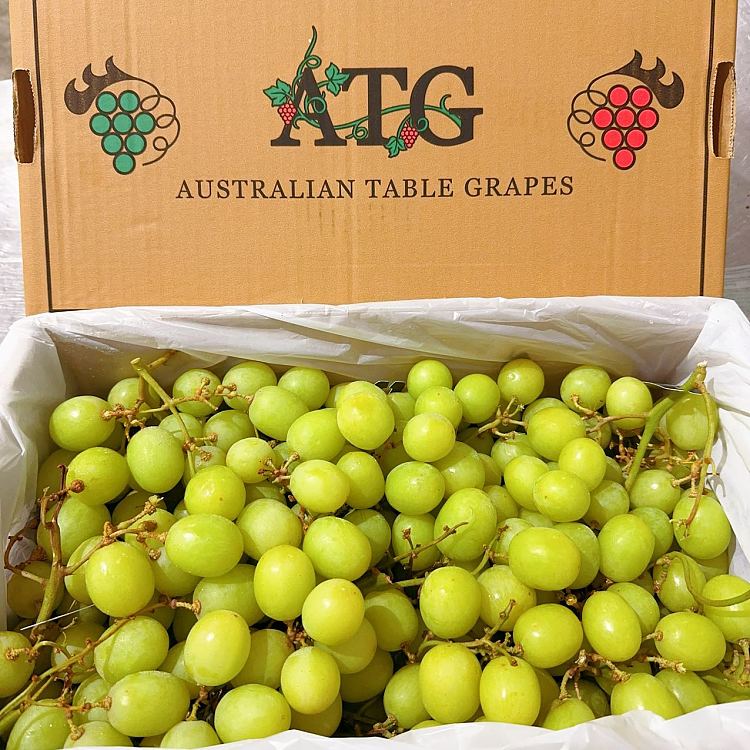 freshspartan-premium-autumncrisp-haruko-about-1kg-1