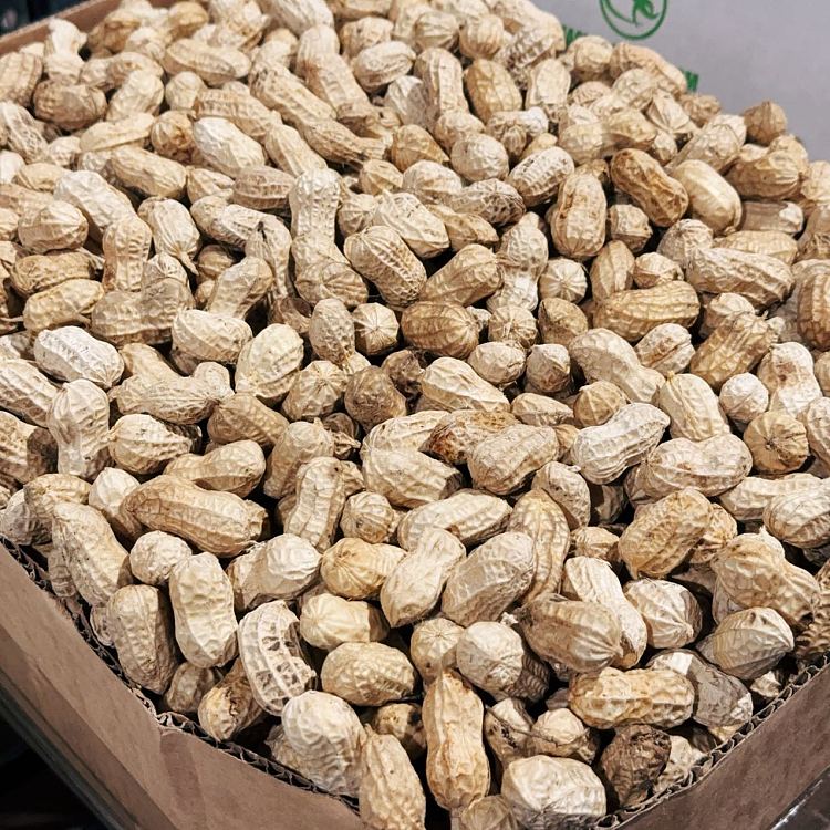 freshgreen-leaf-farms-cooked-peanuts-approx-500g-1