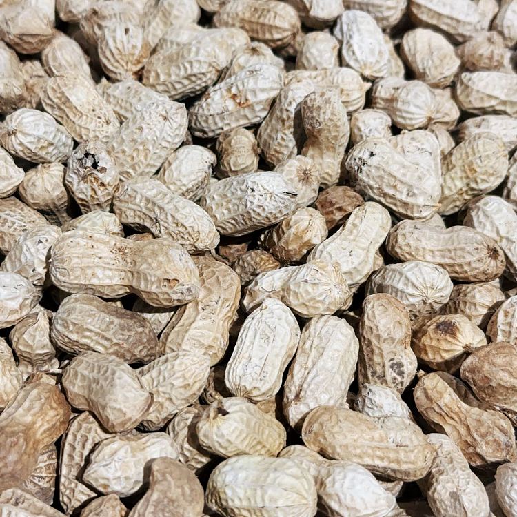 freshgreen-leaf-farms-peanuts-raw-approx-500g-1
