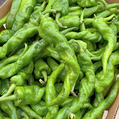螺丝椒 约500g