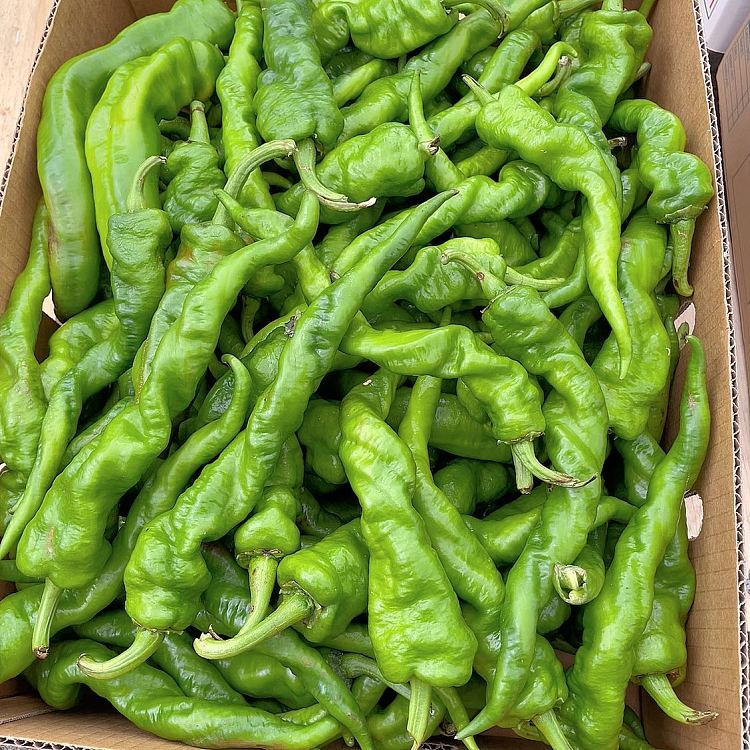 freshscrew-pepper-about-500g-2
